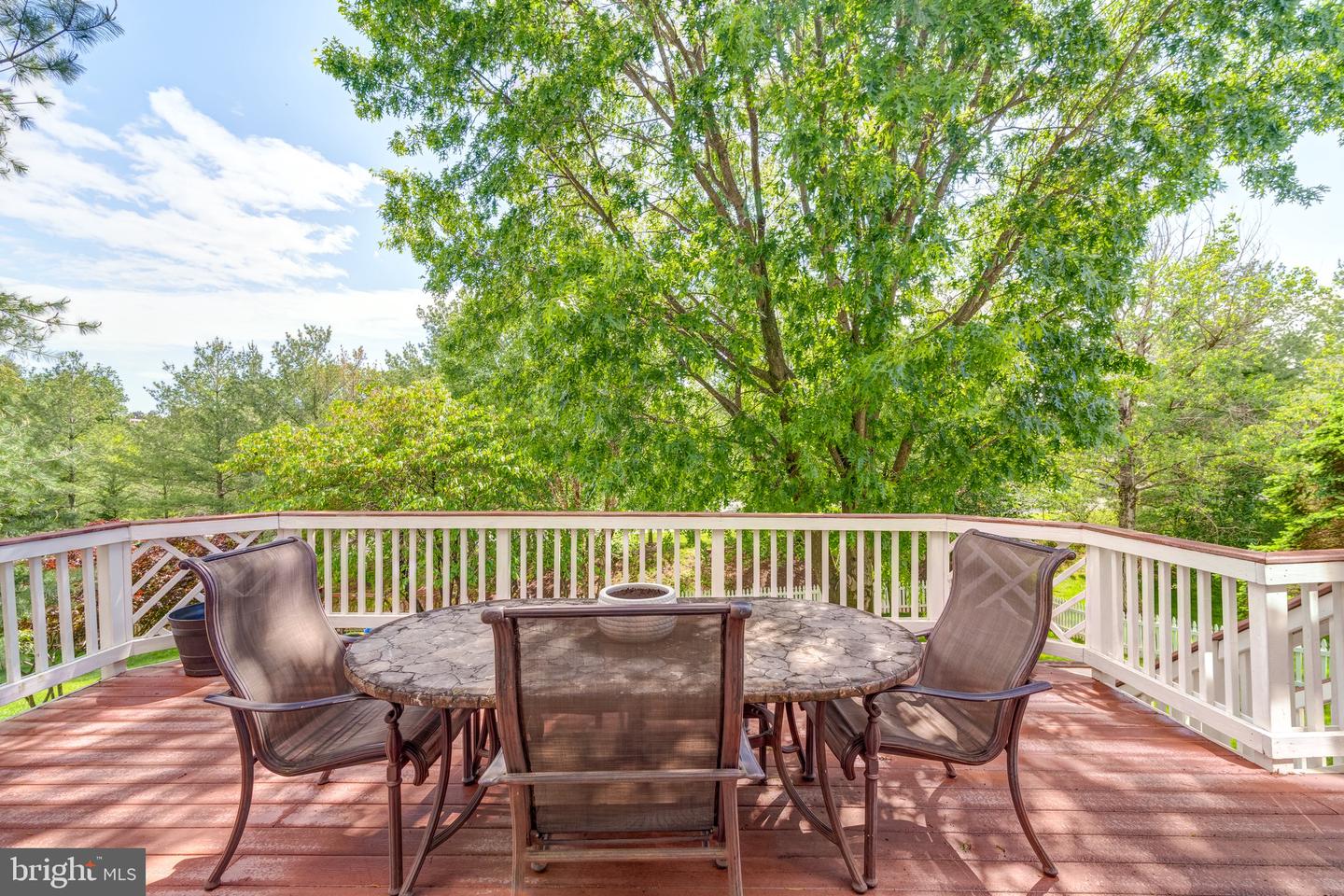 1635 CHICKASAW PL NE, LEESBURG, Virginia 20176, 5 Bedrooms Bedrooms, ,3 BathroomsBathrooms,Residential,For sale,1635 CHICKASAW PL NE,VALO2095806 MLS # VALO2095806