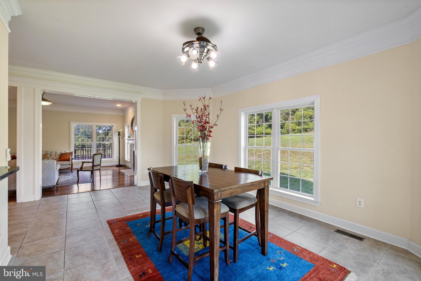 40752 CANONGATE DR, LEESBURG, Virginia 20175, 4 Bedrooms Bedrooms, ,4 BathroomsBathrooms,Residential,For sale,40752 CANONGATE DR,VALO2096384 MLS # VALO2096384