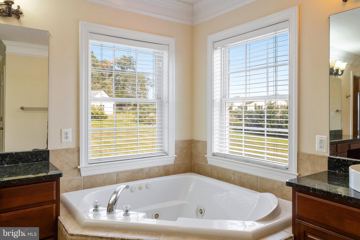 40752 CANONGATE DR, LEESBURG, Virginia 20175, 4 Bedrooms Bedrooms, ,4 BathroomsBathrooms,Residential,For sale,40752 CANONGATE DR,VALO2096384 MLS # VALO2096384