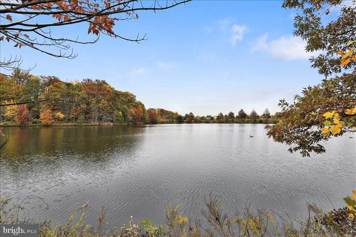 6300 STEVENSON AVE #523, ALEXANDRIA, Virginia 22304, 2 Bedrooms Bedrooms, ,2 BathroomsBathrooms,Residential,For sale,6300 STEVENSON AVE #523,VAAX2045356 MLS # VAAX2045356