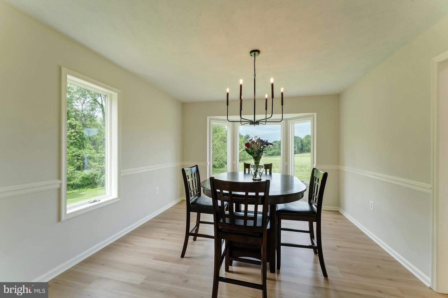 17045 HAMILTON STATION RD, HAMILTON, Virginia 20158, 6 Bedrooms Bedrooms, ,4 BathroomsBathrooms,Residential,For sale,17045 HAMILTON STATION RD,VALO2096484 MLS # VALO2096484