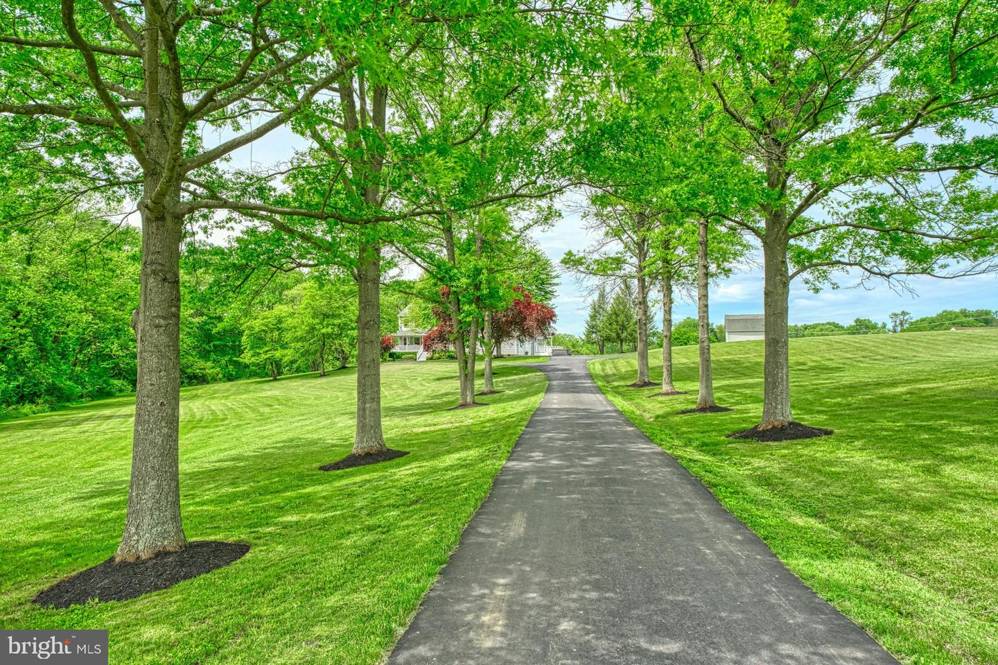 17045 HAMILTON STATION RD, HAMILTON, Virginia 20158, 6 Bedrooms Bedrooms, ,4 BathroomsBathrooms,Residential,For sale,17045 HAMILTON STATION RD,VALO2096484 MLS # VALO2096484