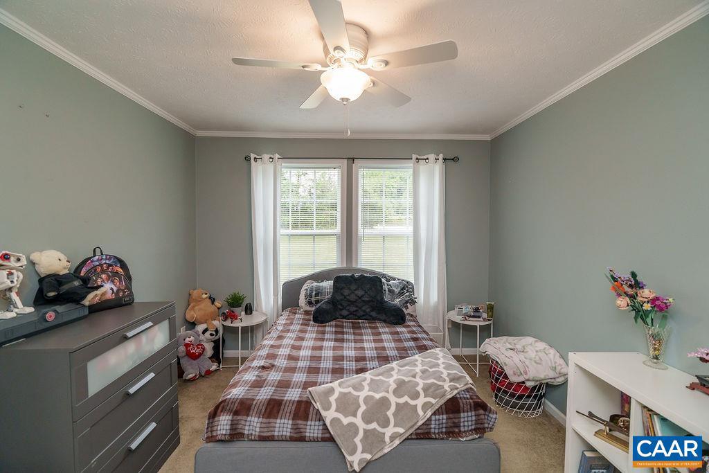 763 FINDLAY MOUNTAIN RD, SHIPMAN, Virginia 22971, 3 Bedrooms Bedrooms, ,2 BathroomsBathrooms,Residential,For sale,763 FINDLAY MOUNTAIN RD,664549 MLS # 664549