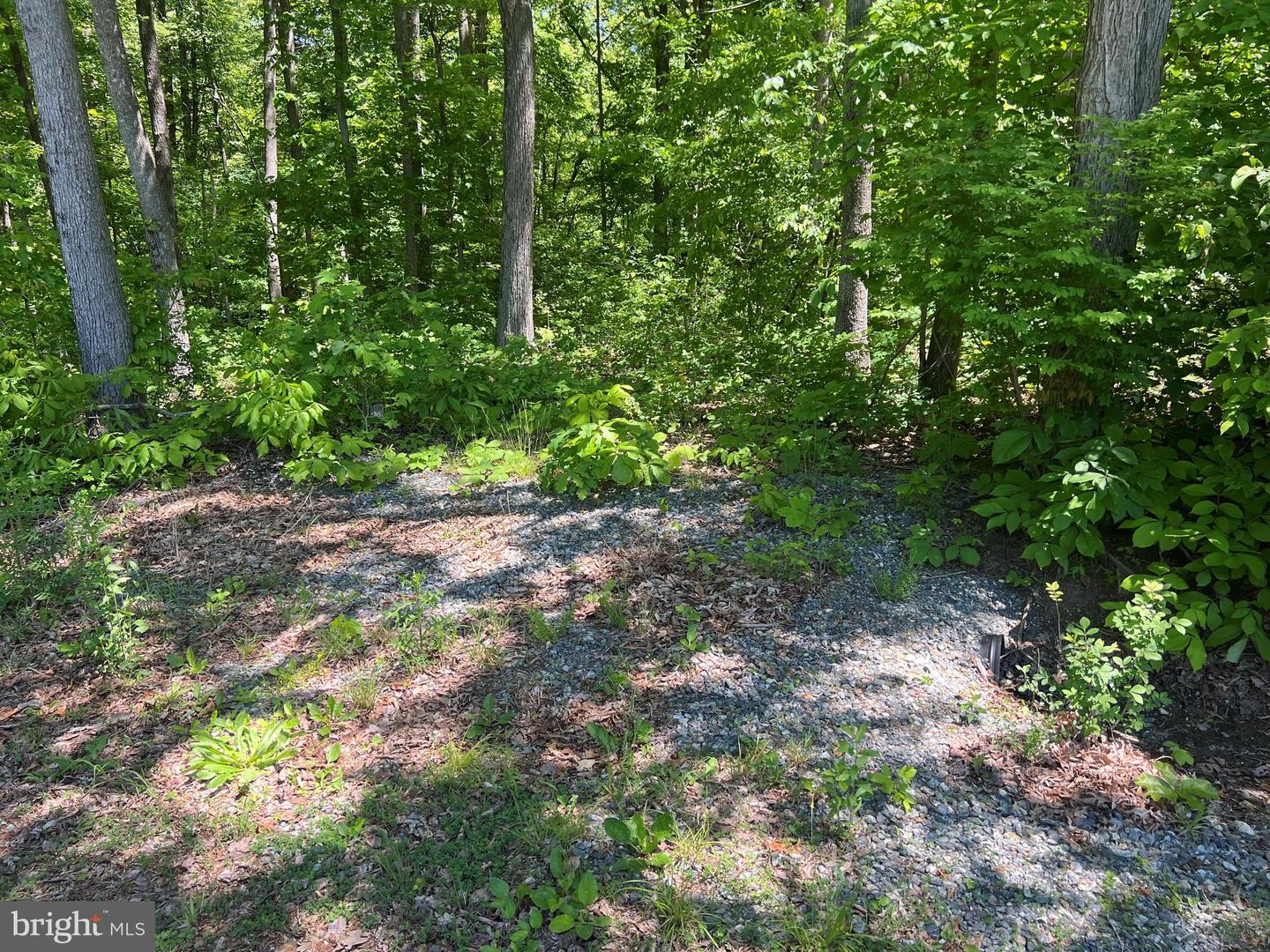 THELMA LN, MINERAL, Virginia 23117, ,Land,For sale,THELMA LN,VALA2007836 MLS # VALA2007836