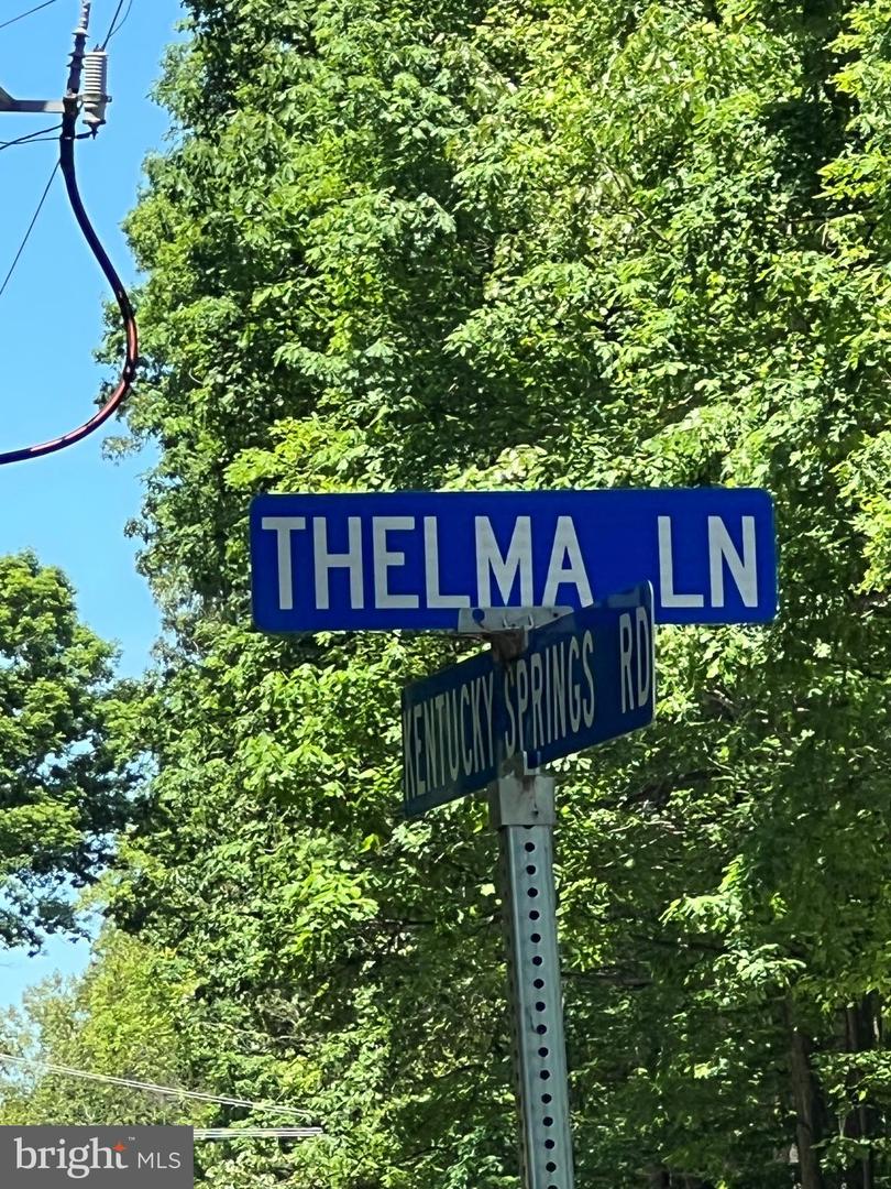 THELMA LN, MINERAL, Virginia 23117, ,Land,For sale,THELMA LN,VALA2007836 MLS # VALA2007836