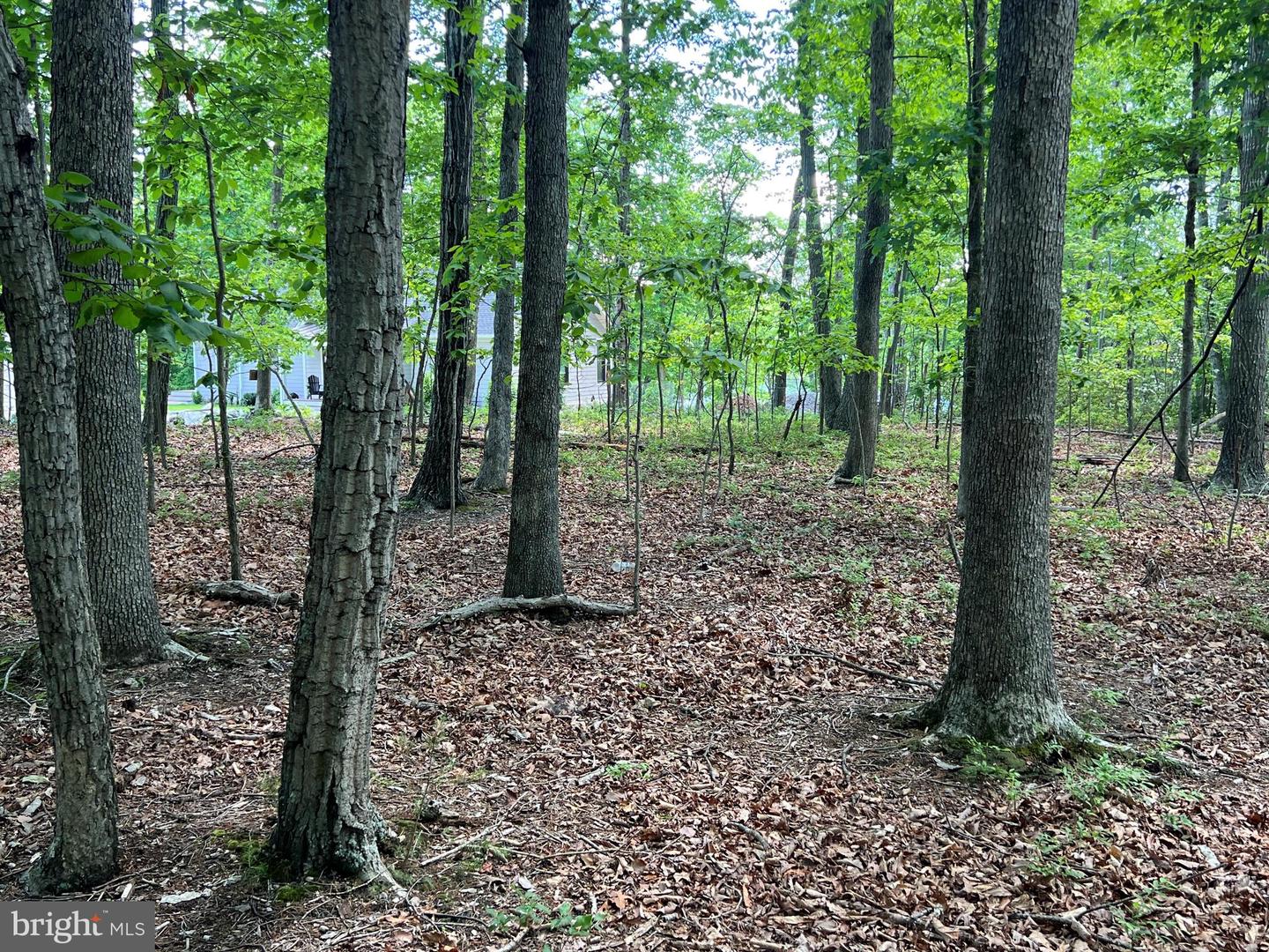 LOT 14 MITCHELL POINT RD, MINERAL, Virginia 23117, ,Land,For sale,LOT 14 MITCHELL POINT RD,VALA2007848 MLS # VALA2007848