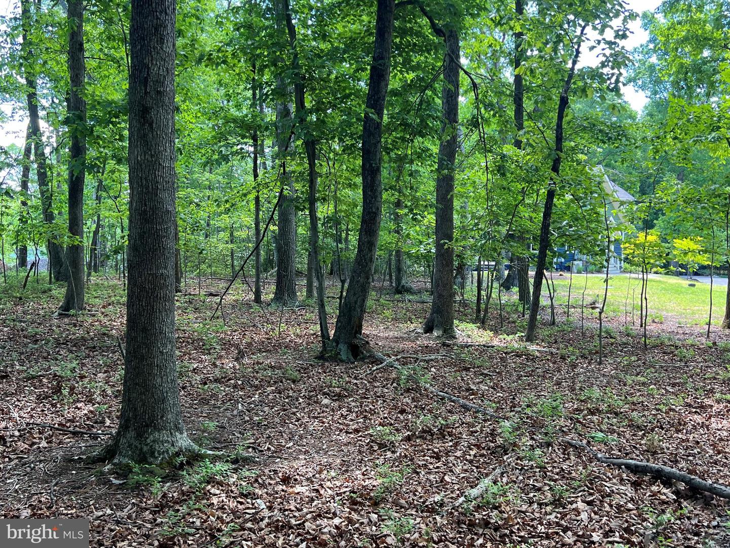 LOT 14 MITCHELL POINT RD, MINERAL, Virginia 23117, ,Land,For sale,LOT 14 MITCHELL POINT RD,VALA2007848 MLS # VALA2007848