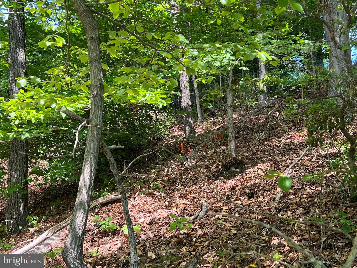 LOT 14 MITCHELL POINT RD, MINERAL, Virginia 23117, ,Land,For sale,LOT 14 MITCHELL POINT RD,VALA2007848 MLS # VALA2007848