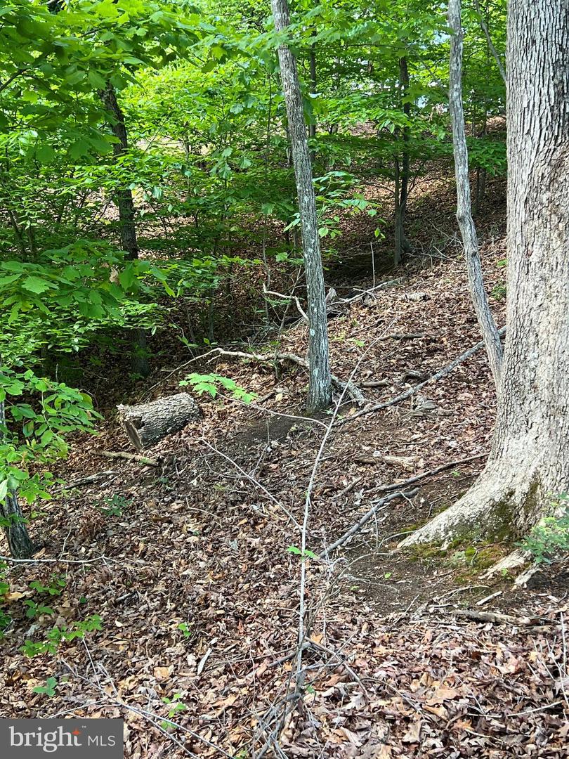 LOT 14 MITCHELL POINT RD, MINERAL, Virginia 23117, ,Land,For sale,LOT 14 MITCHELL POINT RD,VALA2007848 MLS # VALA2007848