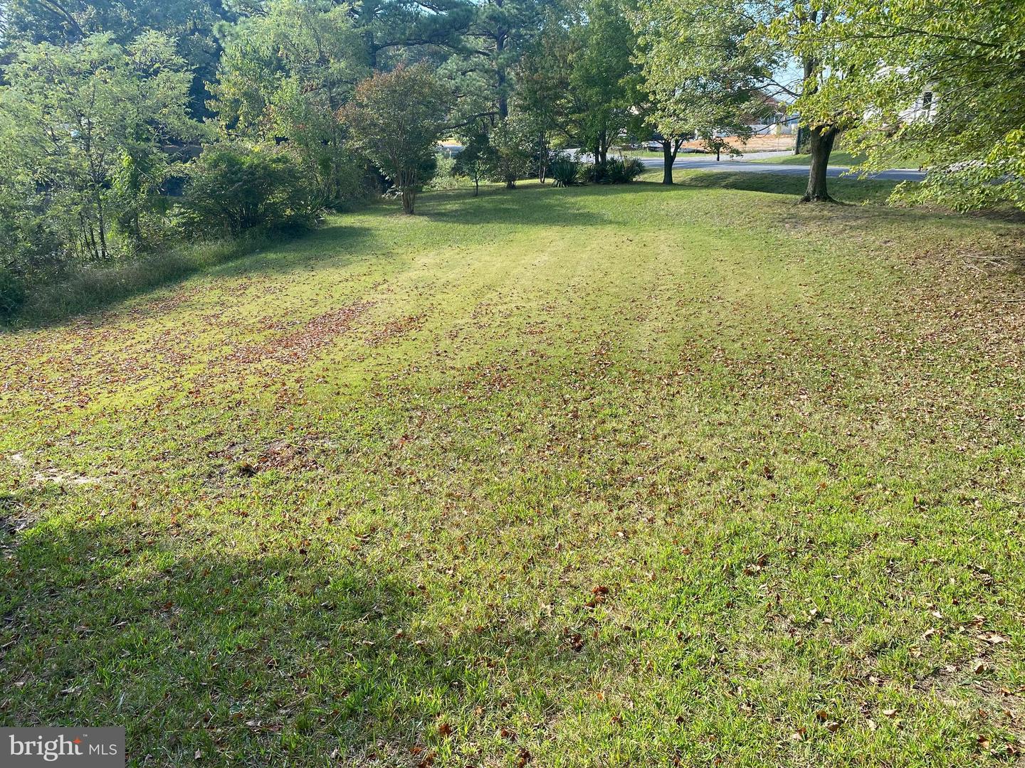 984 NORTH GLEBE RD, MONTROSS, Virginia 22520, ,Land,For sale,984 NORTH GLEBE RD,VAWE2008906 MLS # VAWE2008906