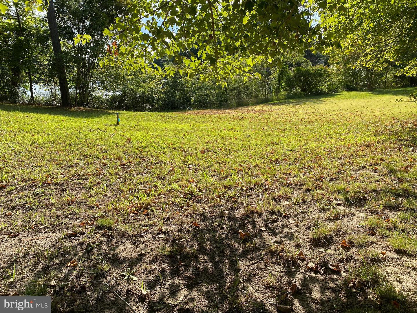 984 NORTH GLEBE RD, MONTROSS, Virginia 22520, ,Land,For sale,984 NORTH GLEBE RD,VAWE2008906 MLS # VAWE2008906