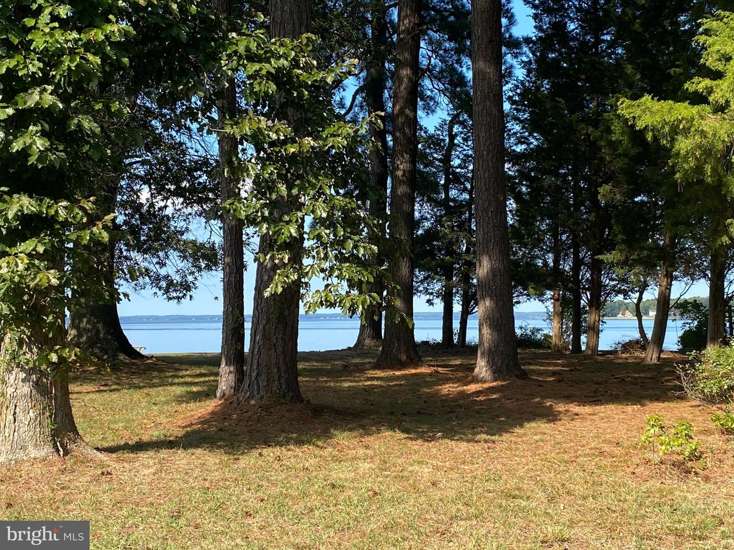984 NORTH GLEBE RD, MONTROSS, Virginia 22520, ,Land,For sale,984 NORTH GLEBE RD,VAWE2008906 MLS # VAWE2008906