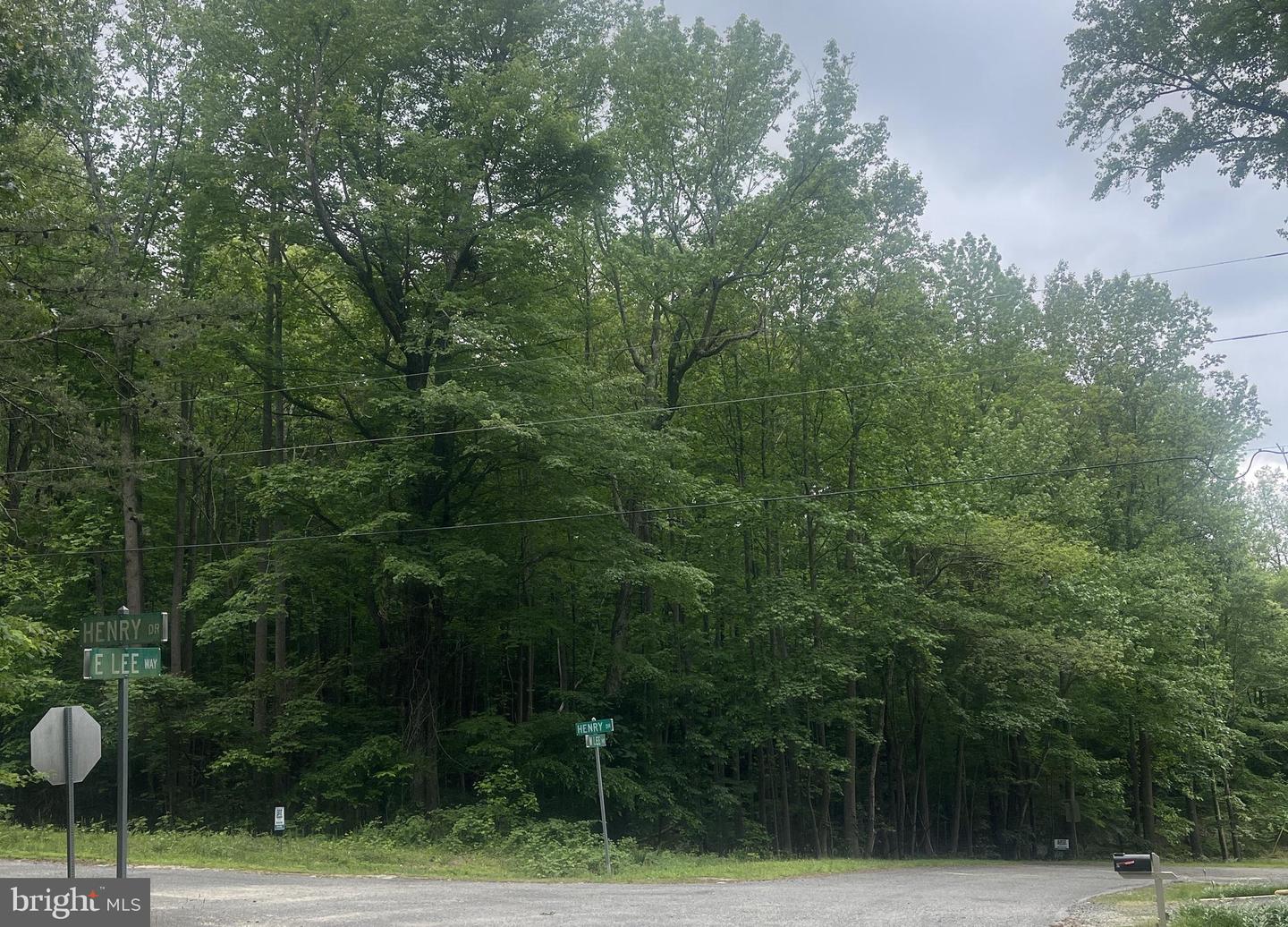 WEST LEE WAY, MONTROSS, Virginia 22520, ,Land,For sale,WEST LEE WAY,VAWE2008908 MLS # VAWE2008908