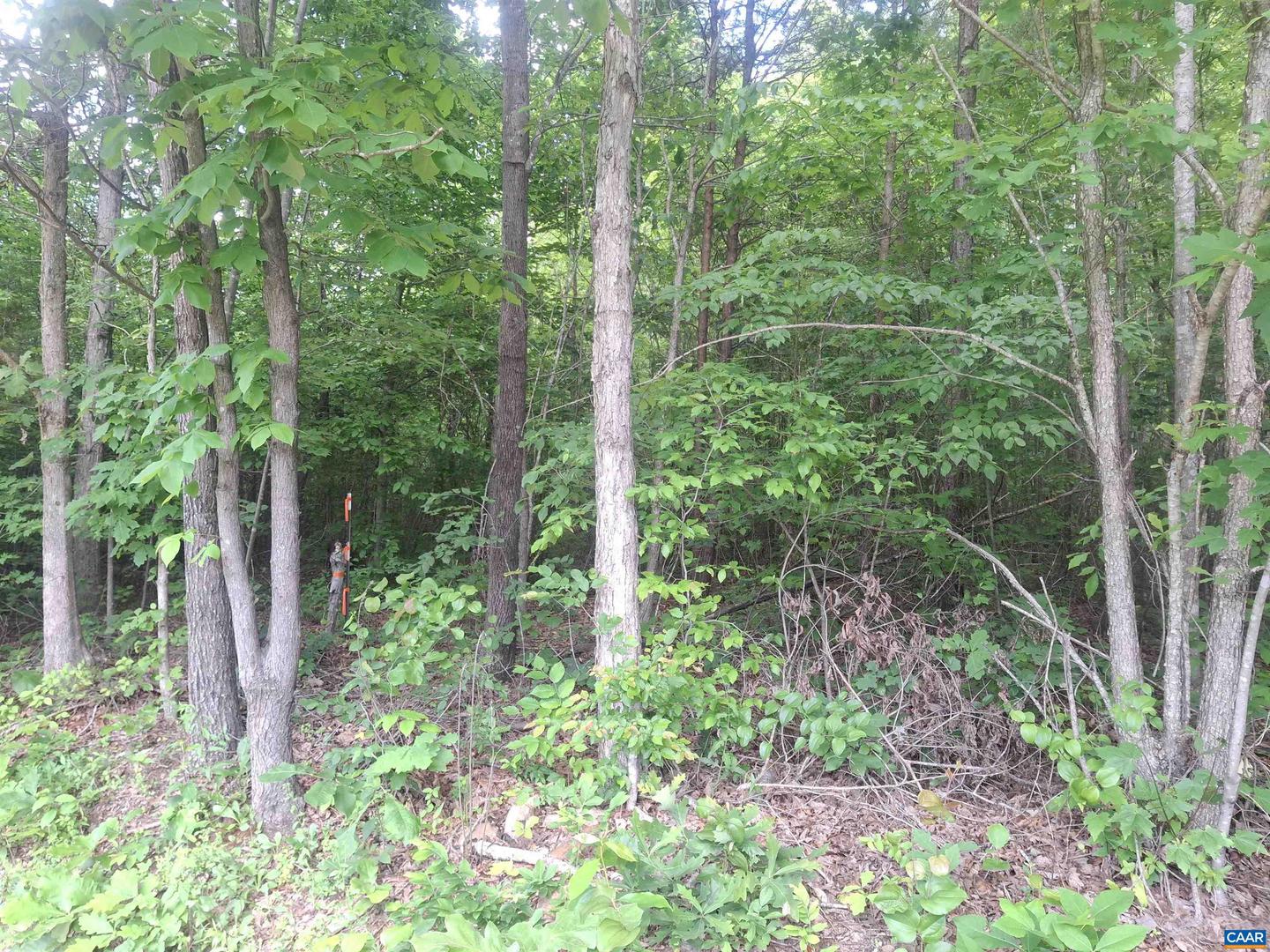TBD LIBERTY RD #2, NEW CANTON, Virginia 23123, ,Land,For sale,TBD LIBERTY RD #2,664567 MLS # 664567
