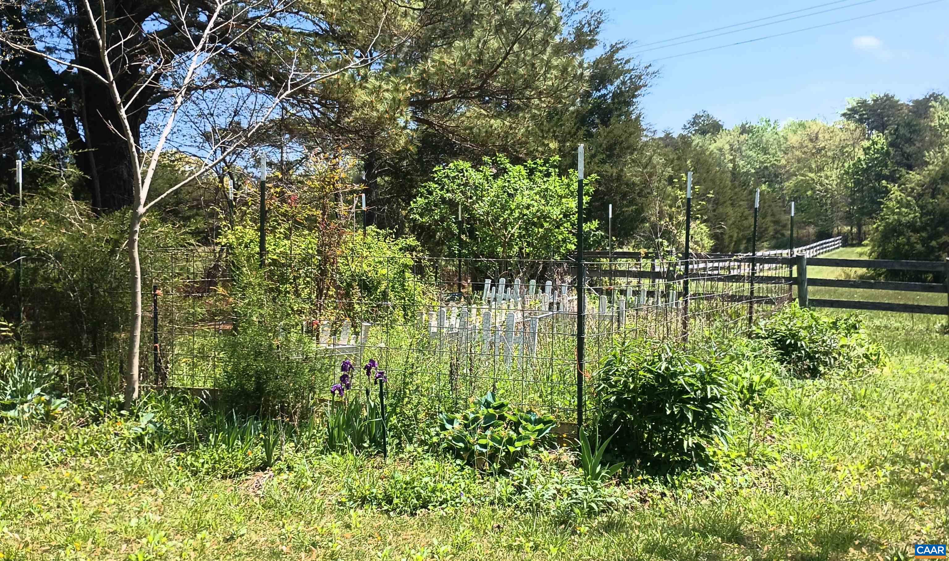 983 WILLIAMSTOWN RD, SHIPMAN, Virginia 22971, 2 Bedrooms Bedrooms, ,1 BathroomBathrooms,Residential,983 WILLIAMSTOWN RD,664559 MLS # 664559