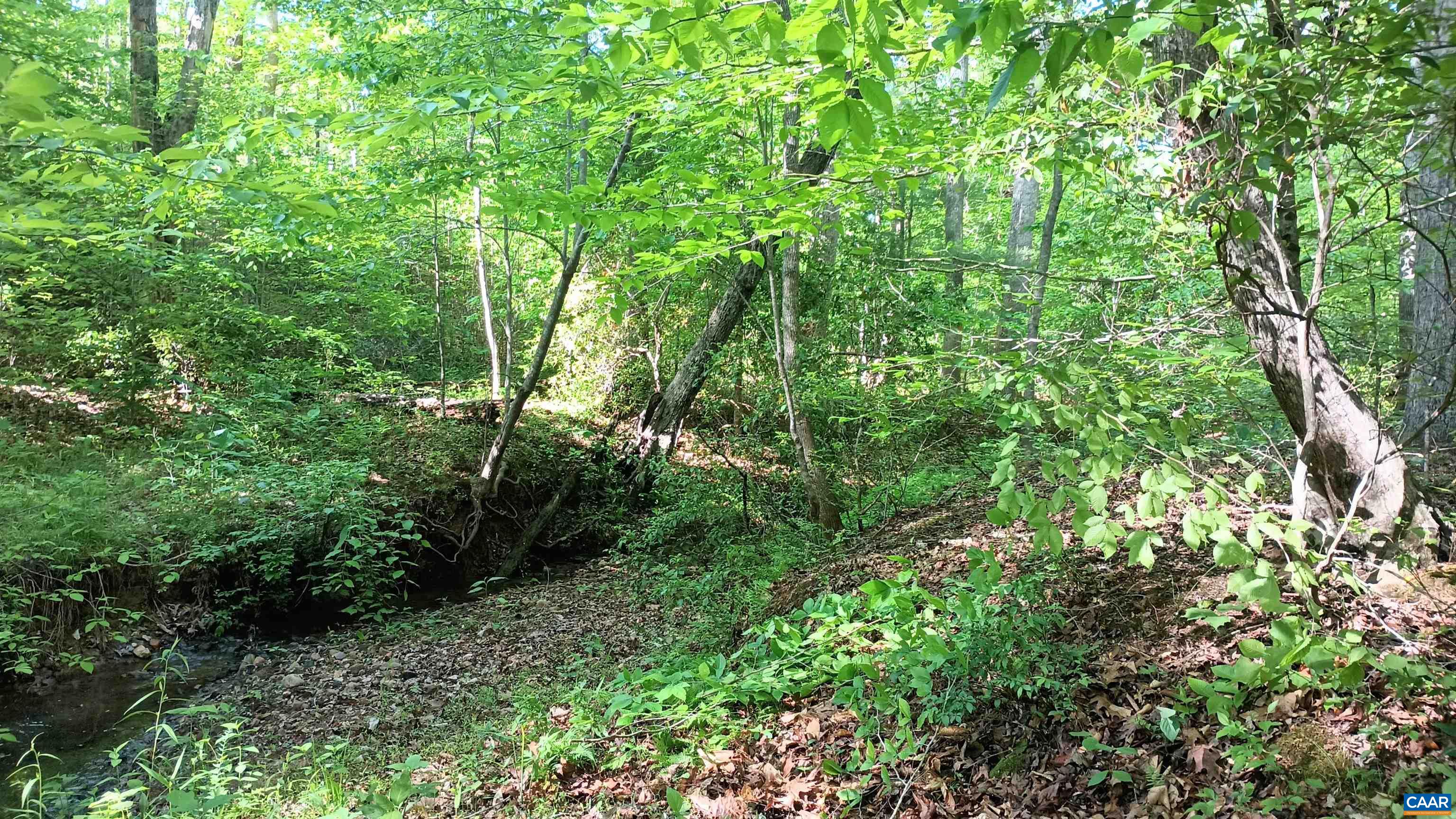 983 WILLIAMSTOWN RD, SHIPMAN, Virginia 22971, 2 Bedrooms Bedrooms, ,1 BathroomBathrooms,Residential,983 WILLIAMSTOWN RD,664559 MLS # 664559