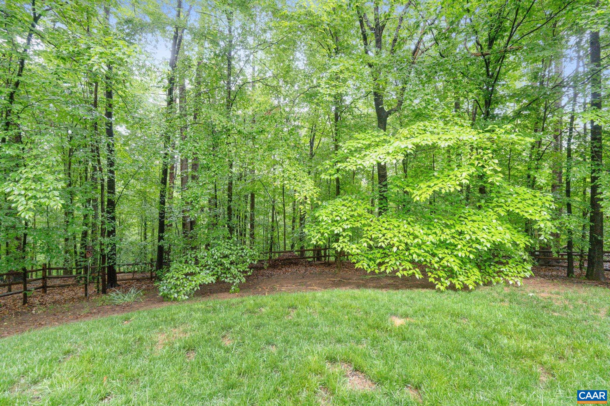 1070 BLACKBURN BLUFF, CHARLOTTESVILLE, Virginia 22901, 4 Bedrooms Bedrooms, ,3 BathroomsBathrooms,Residential,1070 BLACKBURN BLUFF,664457 MLS # 664457