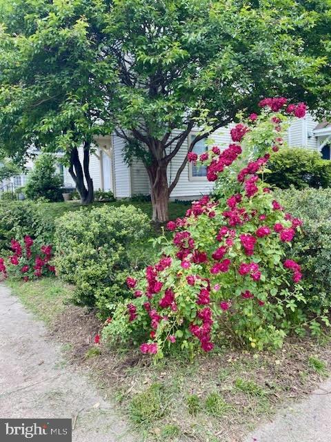 14370 GRINGSBY CT, CENTREVILLE, Virginia 20120, 2 Bedrooms Bedrooms, ,1 BathroomBathrooms,Residential,For sale,14370 GRINGSBY CT,VAFX2232768 MLS # VAFX2232768