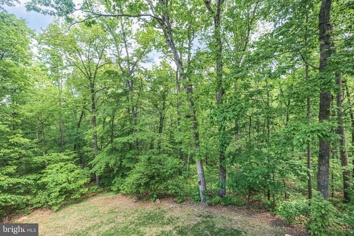 9711 GUNSTON HALL RD, FREDERICKSBURG, Virginia 22408, 4 Bedrooms Bedrooms, ,3 BathroomsBathrooms,Residential,For sale,9711 GUNSTON HALL RD,VASP2032212 MLS # VASP2032212