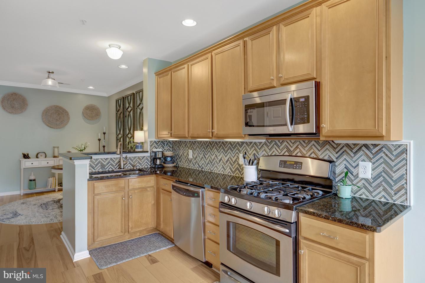 20385 BELMONT PARK TER #102, ASHBURN, Virginia 20147, 2 Bedrooms Bedrooms, ,2 BathroomsBathrooms,Residential,For sale,20385 BELMONT PARK TER #102,VALO2094014 MLS # VALO2094014