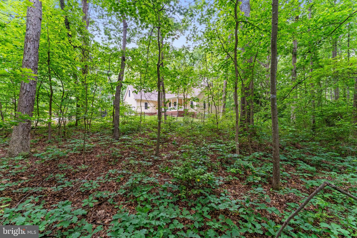 10614 RHOADS DR, FREDERICKSBURG, Virginia 22407, 4 Bedrooms Bedrooms, ,2 BathroomsBathrooms,Residential,For sale,10614 RHOADS DR,VASP2032464 MLS # VASP2032464