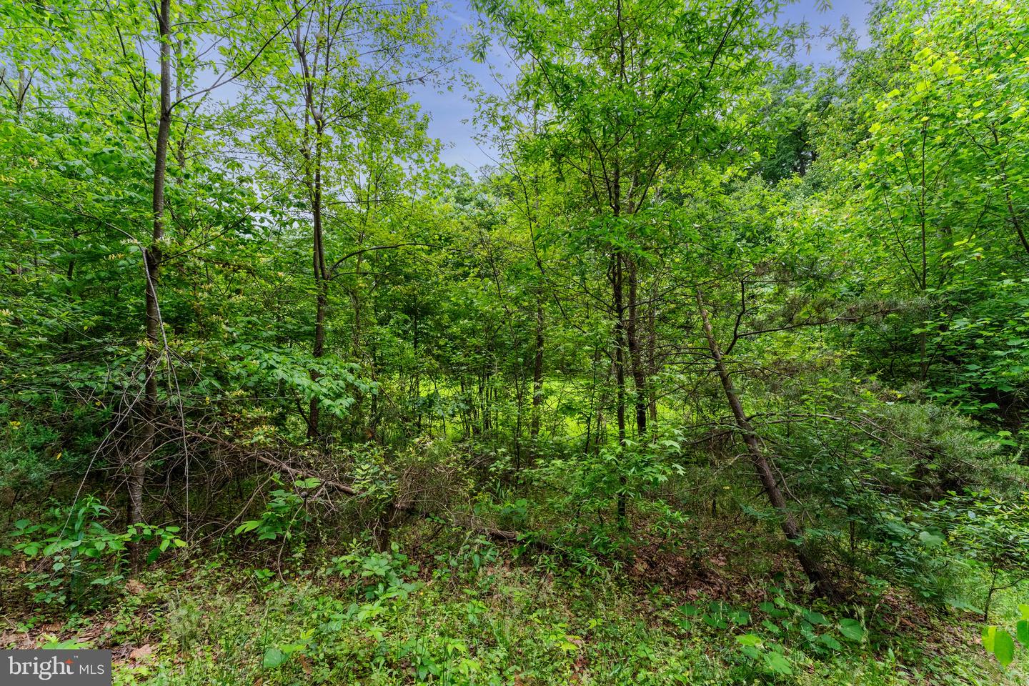 10614 RHOADS DR, FREDERICKSBURG, Virginia 22407, 4 Bedrooms Bedrooms, ,2 BathroomsBathrooms,Residential,For sale,10614 RHOADS DR,VASP2032464 MLS # VASP2032464