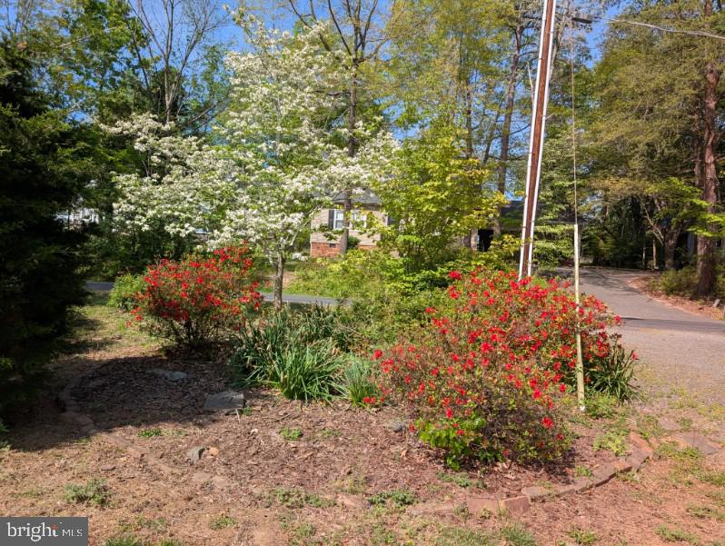 322 BIRCHSIDE CIR, LOCUST GROVE, Virginia 22508, 4 Bedrooms Bedrooms, ,4 BathroomsBathrooms,Residential,For sale,322 BIRCHSIDE CIR,VAOR2009530 MLS # VAOR2009530