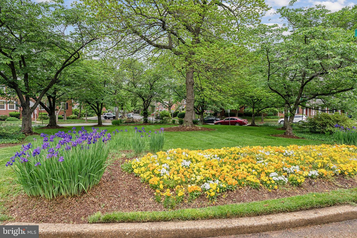 3031 S COLUMBUS ST #C2, ARLINGTON, Virginia 22206, 2 Bedrooms Bedrooms, ,1 BathroomBathrooms,Residential,For sale,3031 S COLUMBUS ST #C2,VAAR2056820 MLS # VAAR2056820