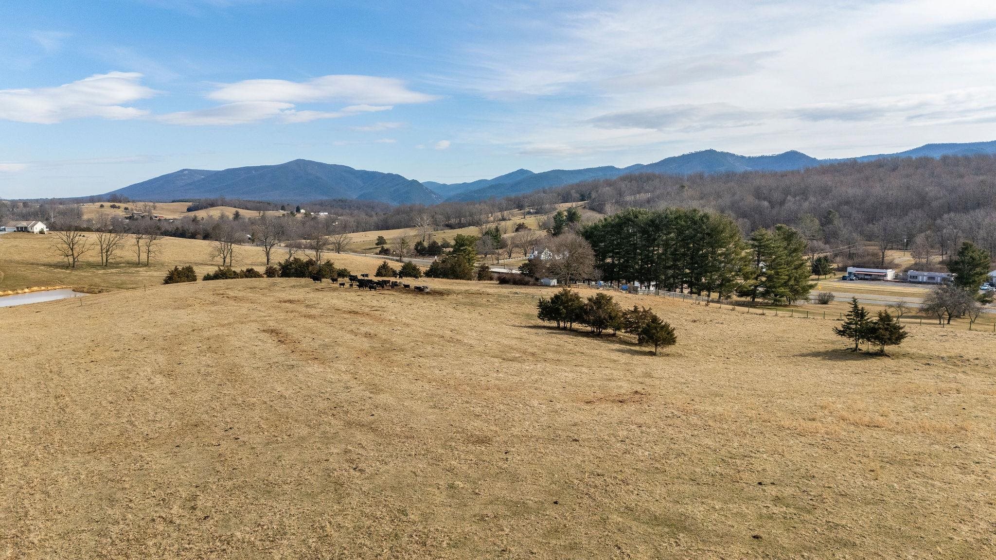 16.12 ac N LEE HWY, RAPHINE, Virginia 24472, ,Land,16.12 Acres,16.12 ac N LEE HWY,664581 MLS # 664581