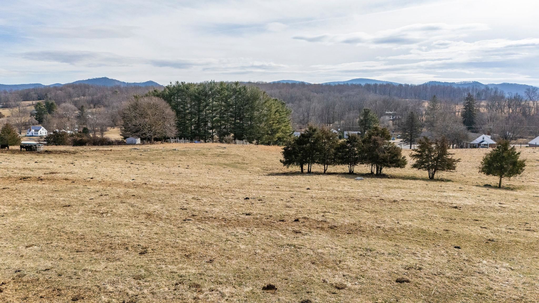 16.119 ac N LEE HWY, RAPHINE, Virginia 24472, ,Land,16.119 Acres,16.119 ac N LEE HWY,664585 MLS # 664585