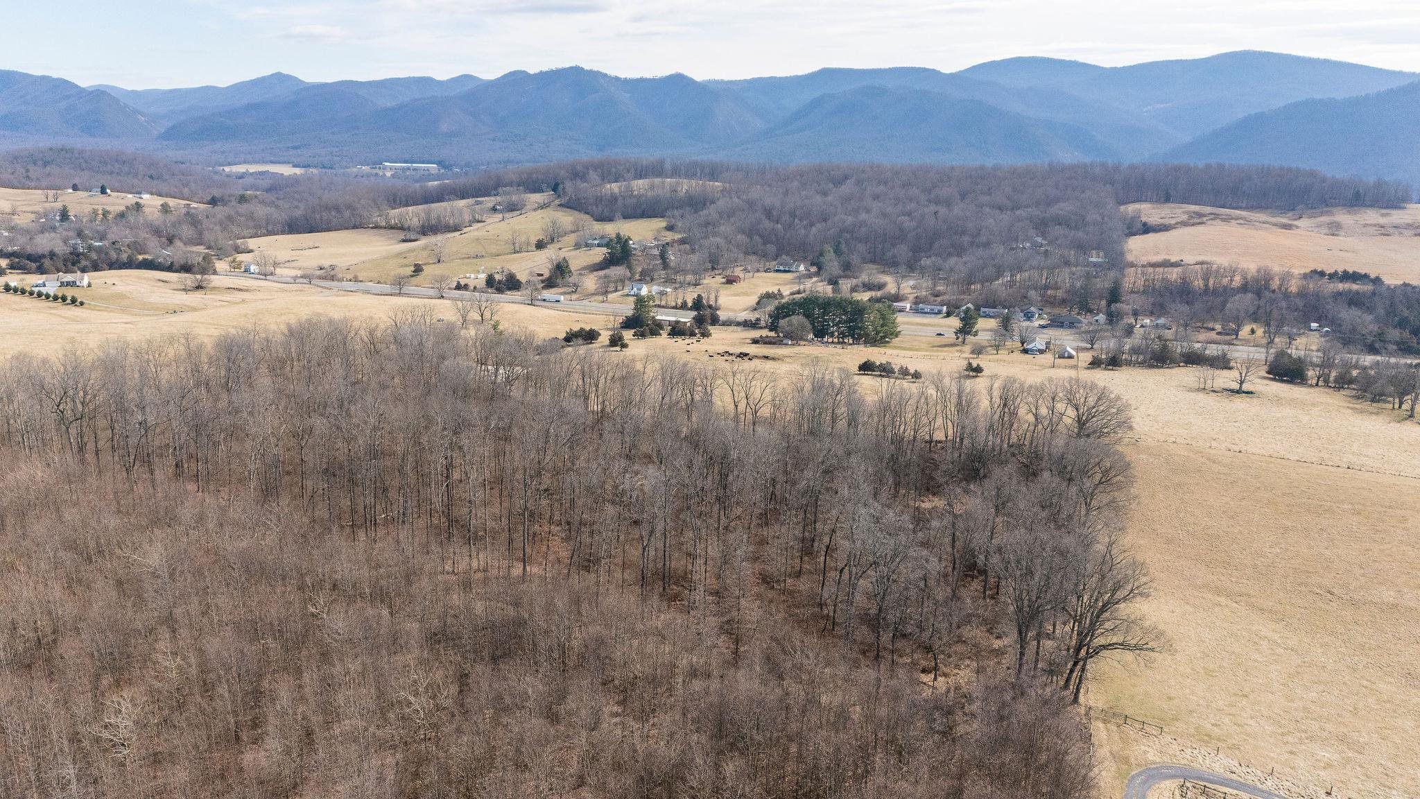 16.119 ac N LEE HWY, RAPHINE, Virginia 24472, ,Land,16.119 Acres,16.119 ac N LEE HWY,664585 MLS # 664585