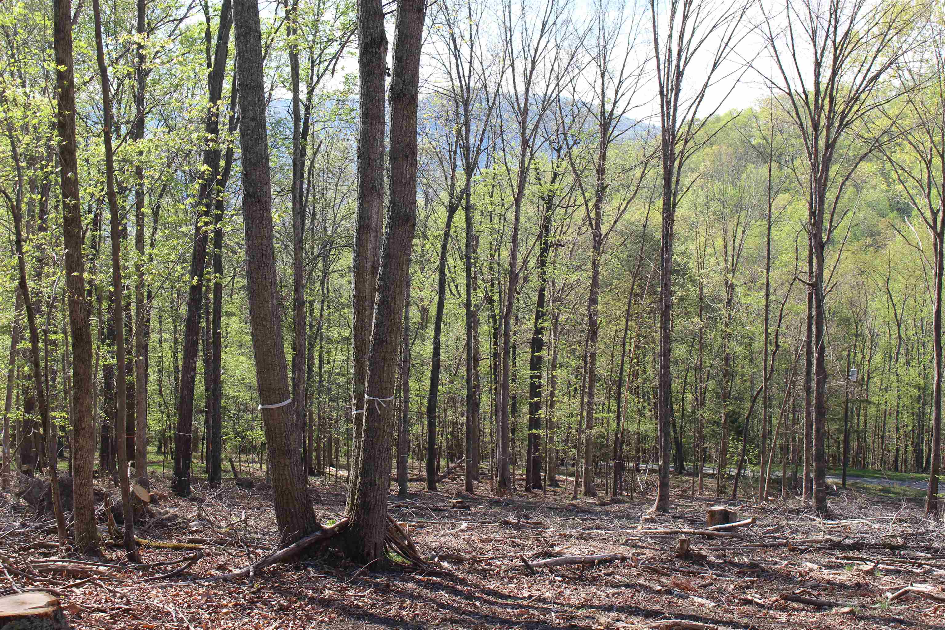 TBD CLAN ALPINE WAY, GLASGOW, Virginia 24555, ,Land,TBD CLAN ALPINE WAY,664590 MLS # 664590