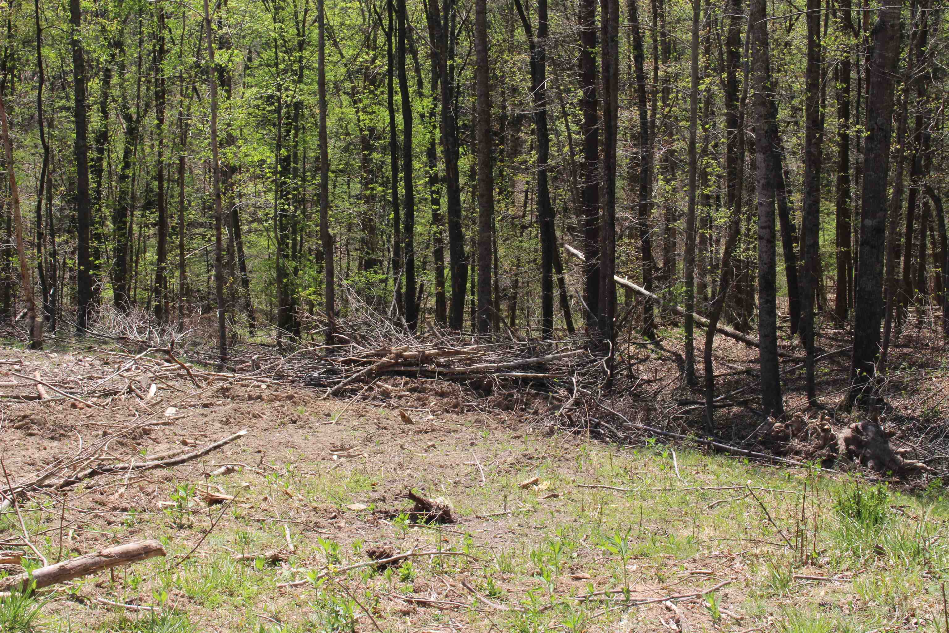 TBD CLAN ALPINE WAY, GLASGOW, Virginia 24555, ,Land,TBD CLAN ALPINE WAY,664590 MLS # 664590