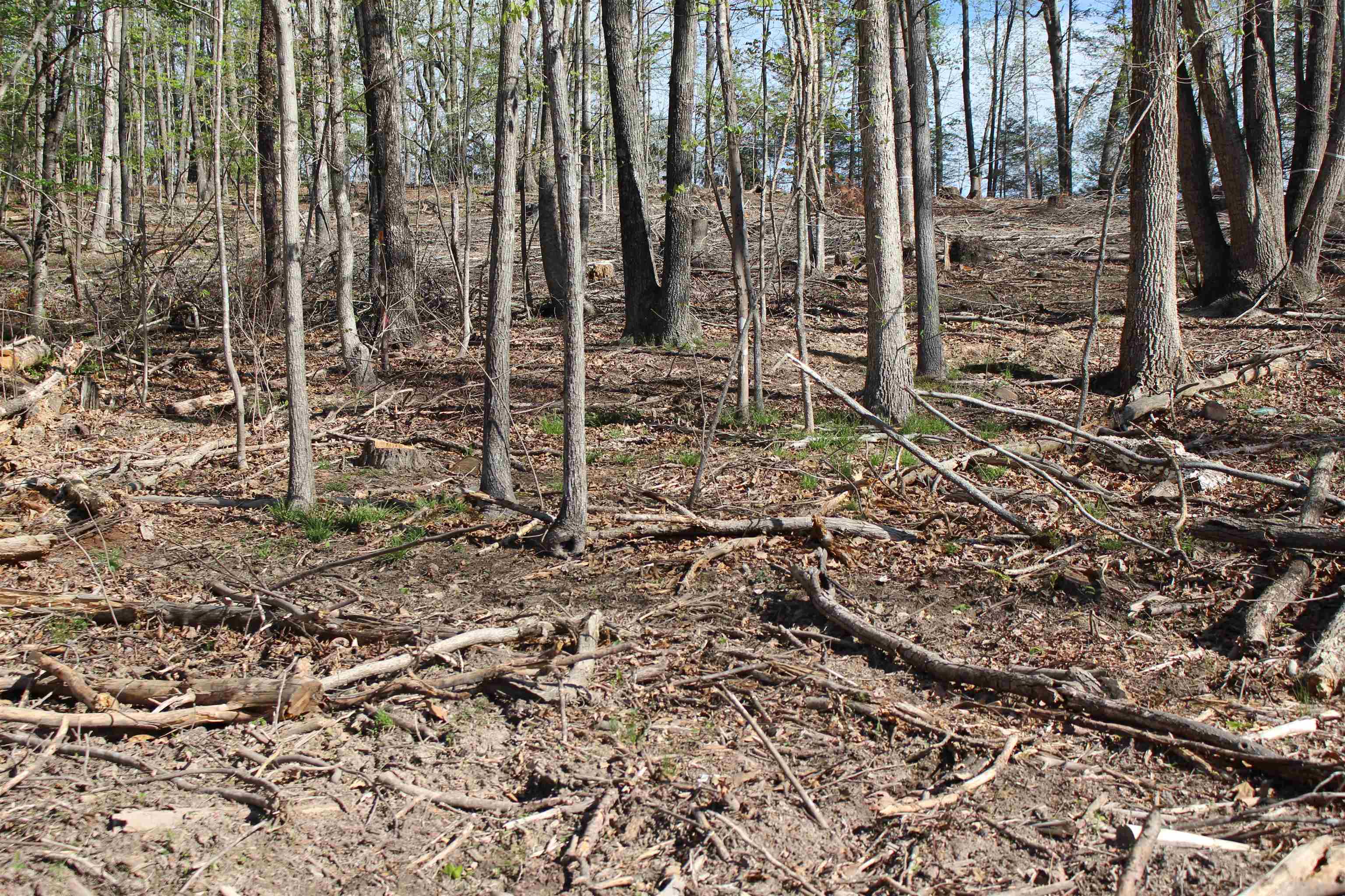 TBD CLAN ALPINE WAY, GLASGOW, Virginia 24555, ,Land,TBD CLAN ALPINE WAY,664590 MLS # 664590
