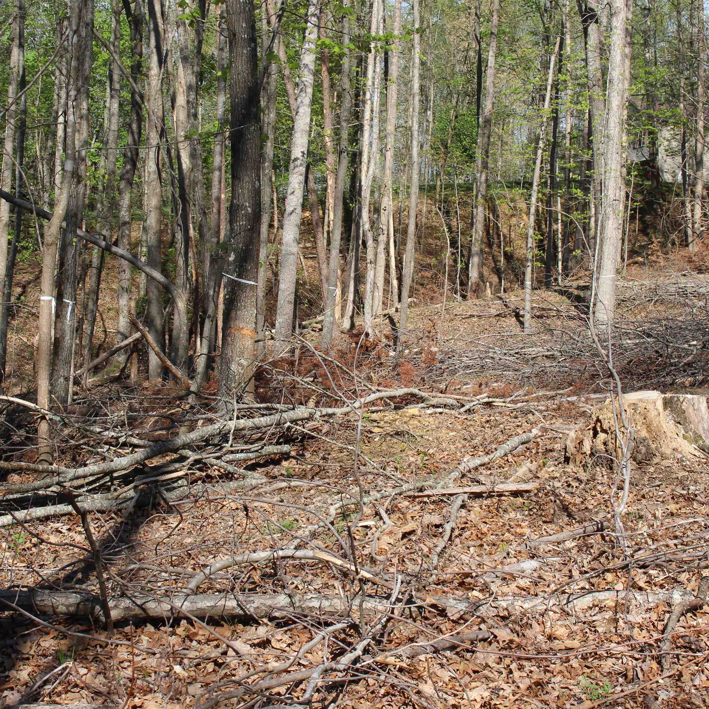 TBD CLAN ALPINE WAY, GLASGOW, Virginia 24555, ,Land,TBD CLAN ALPINE WAY,664590 MLS # 664590