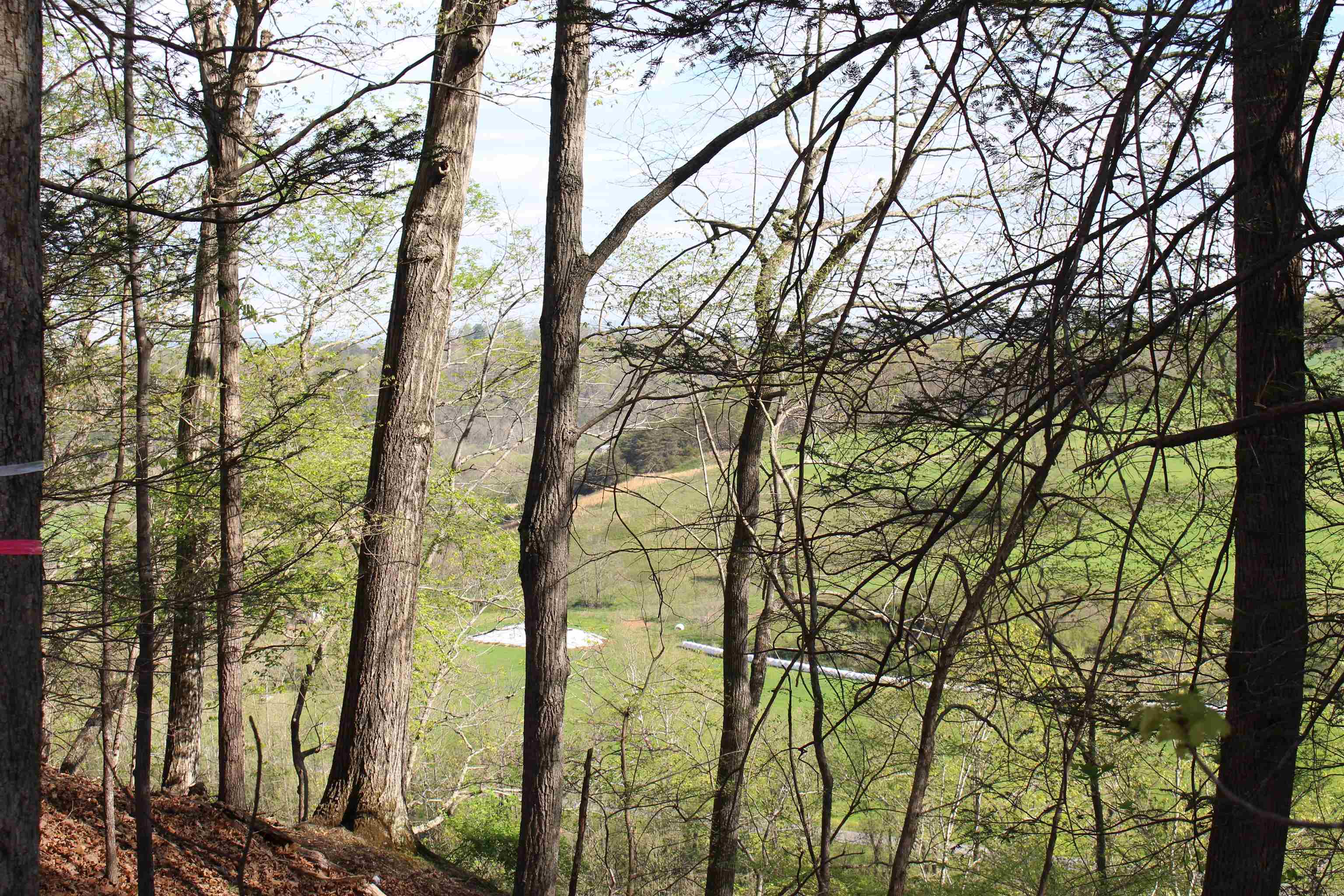 TBD CLAN ALPINE WAY, GLASGOW, Virginia 24555, ,Land,TBD CLAN ALPINE WAY,664590 MLS # 664590