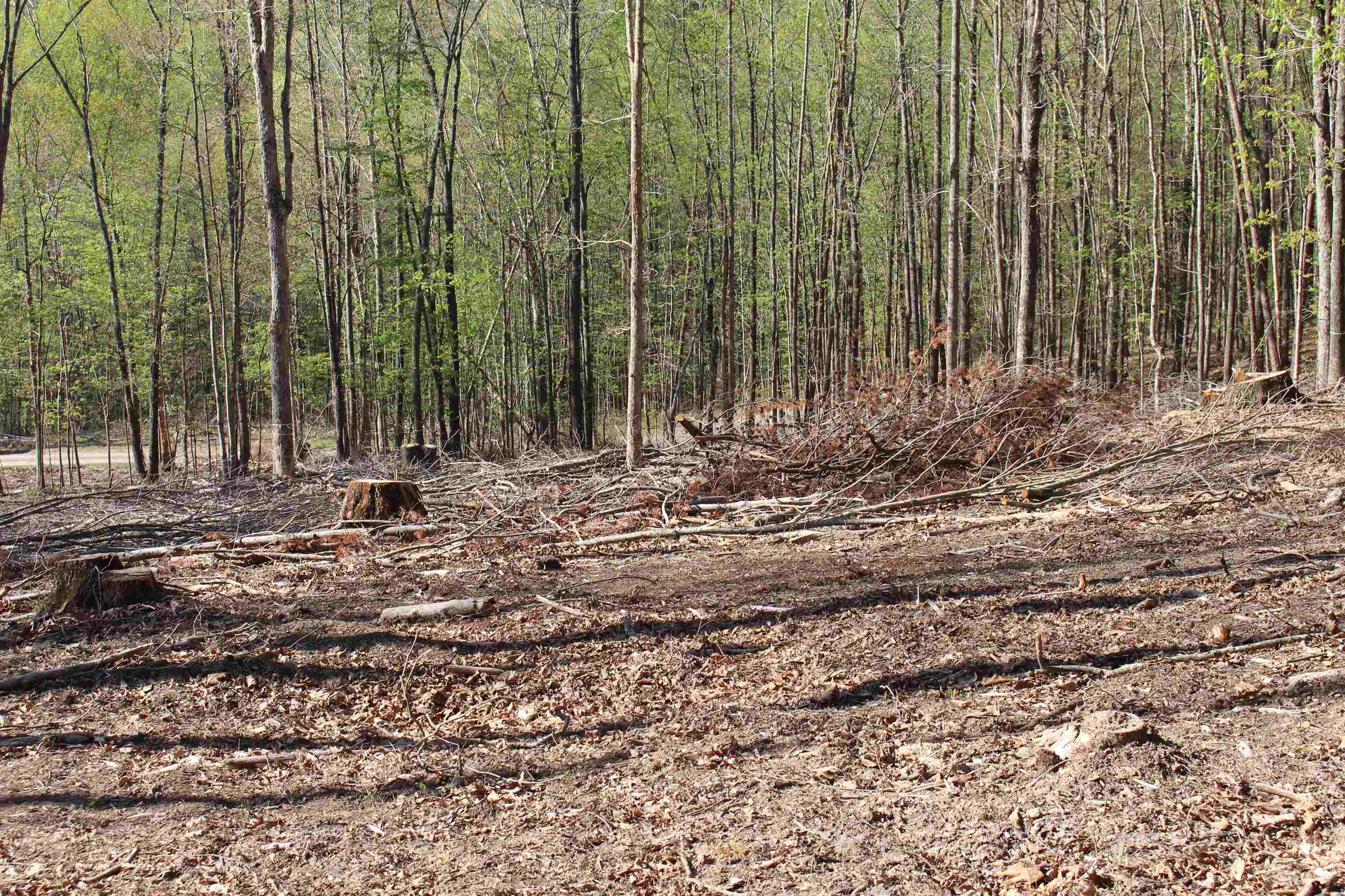 TBD CLAN ALPINE WAY, GLASGOW, Virginia 24555, ,Land,TBD CLAN ALPINE WAY,664590 MLS # 664590