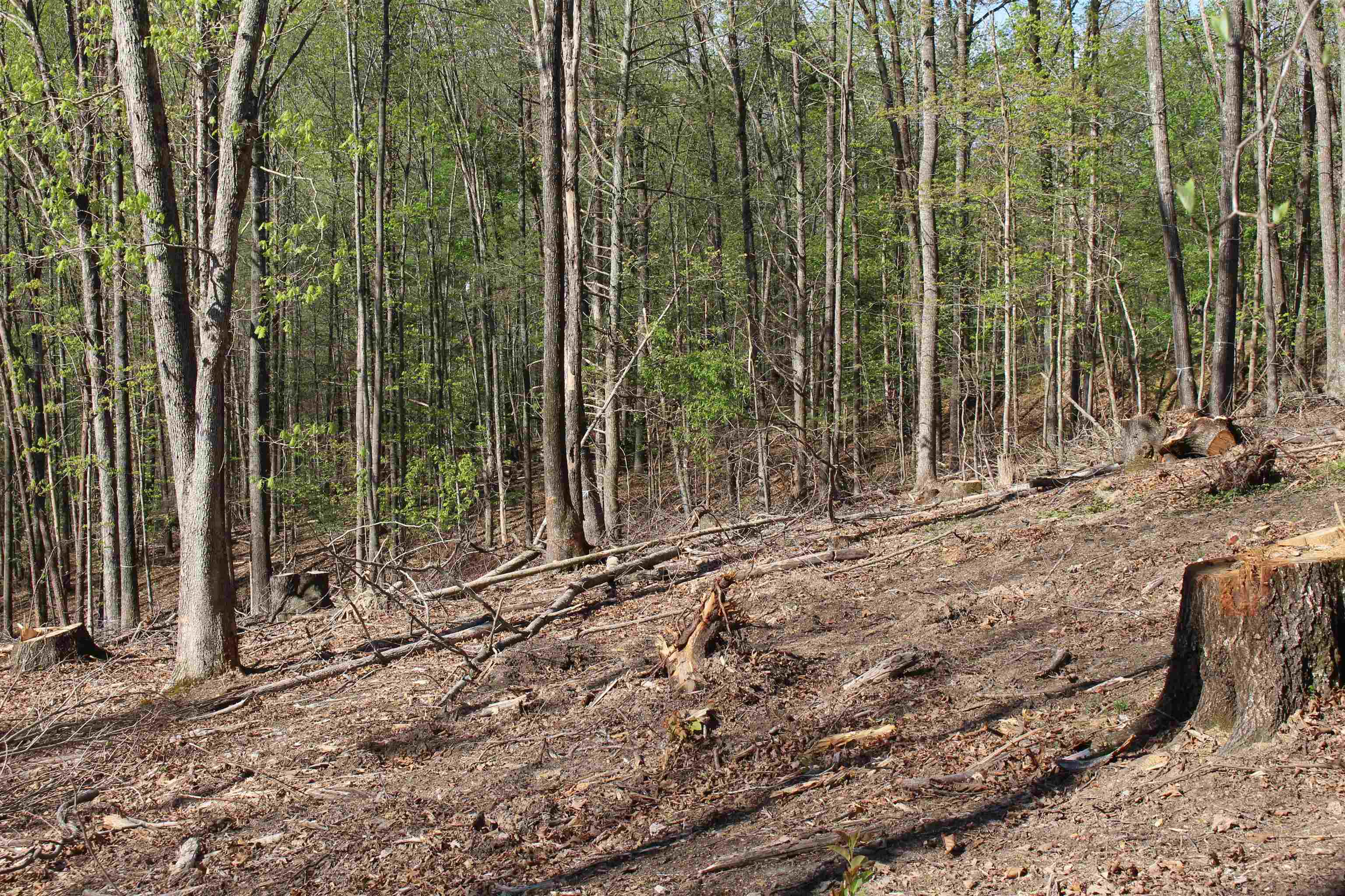 TBD CLAN ALPINE WAY, GLASGOW, Virginia 24555, ,Land,TBD CLAN ALPINE WAY,664590 MLS # 664590