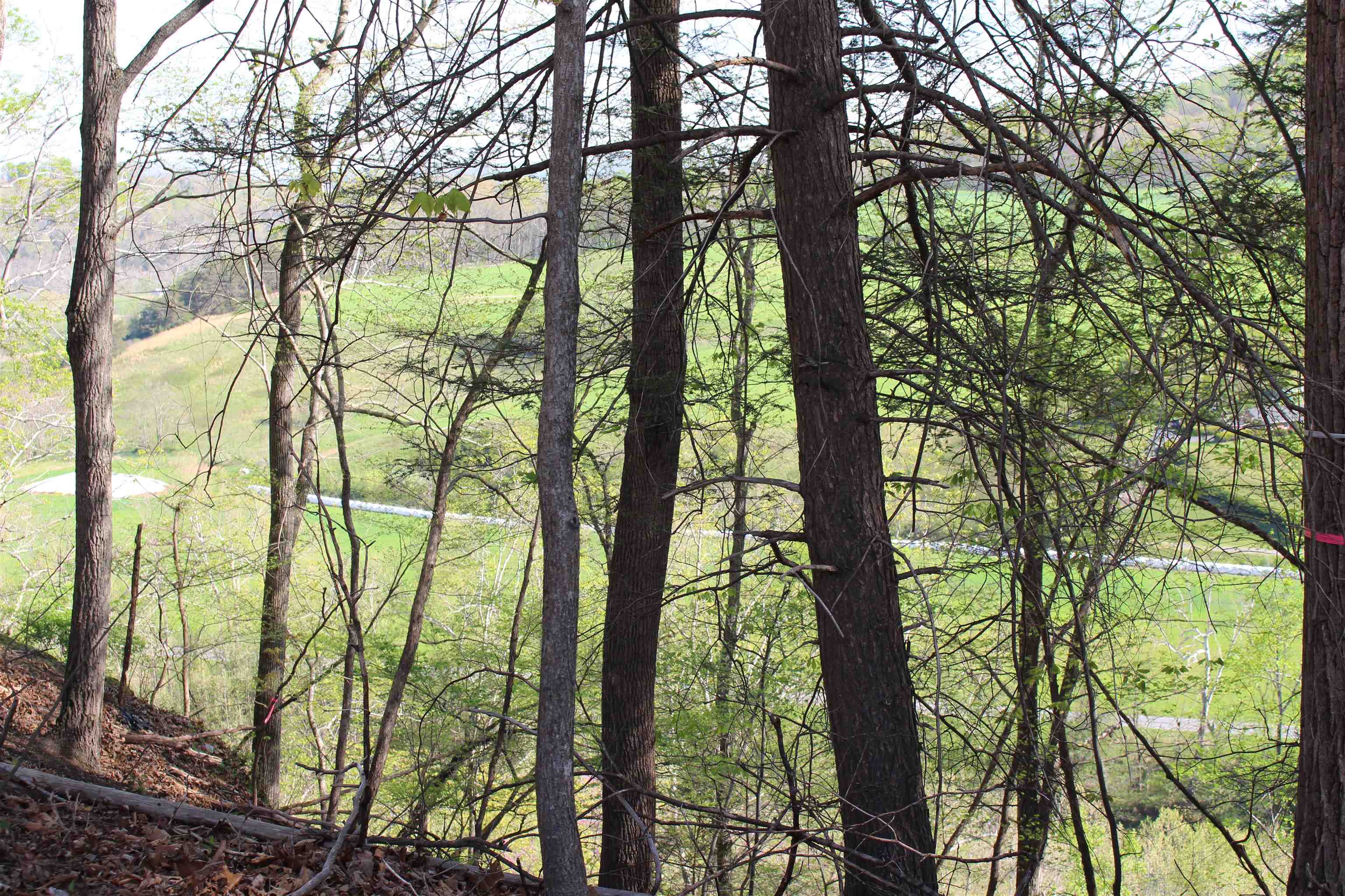 TBD CLAN ALPINE WAY, GLASGOW, Virginia 24555, ,Land,TBD CLAN ALPINE WAY,664590 MLS # 664590