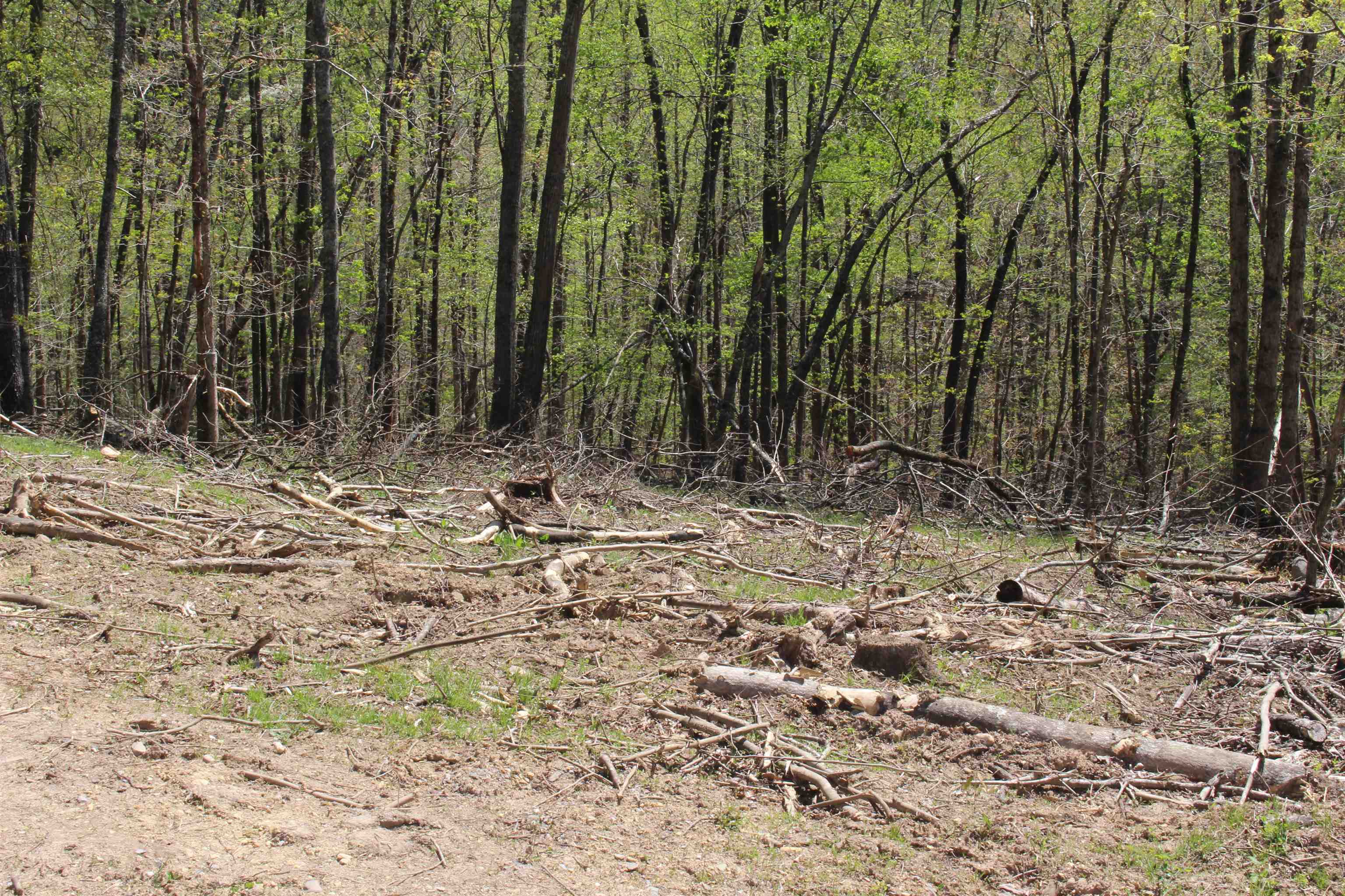 TBD CLAN ALPINE WAY, GLASGOW, Virginia 24555, ,Land,TBD CLAN ALPINE WAY,664590 MLS # 664590