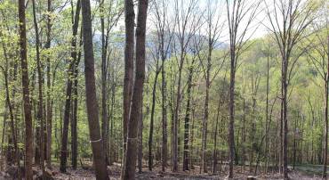 TBD CLAN ALPINE WAY, GLASGOW, Virginia 24555, ,Land,TBD CLAN ALPINE WAY,664590 MLS # 664590