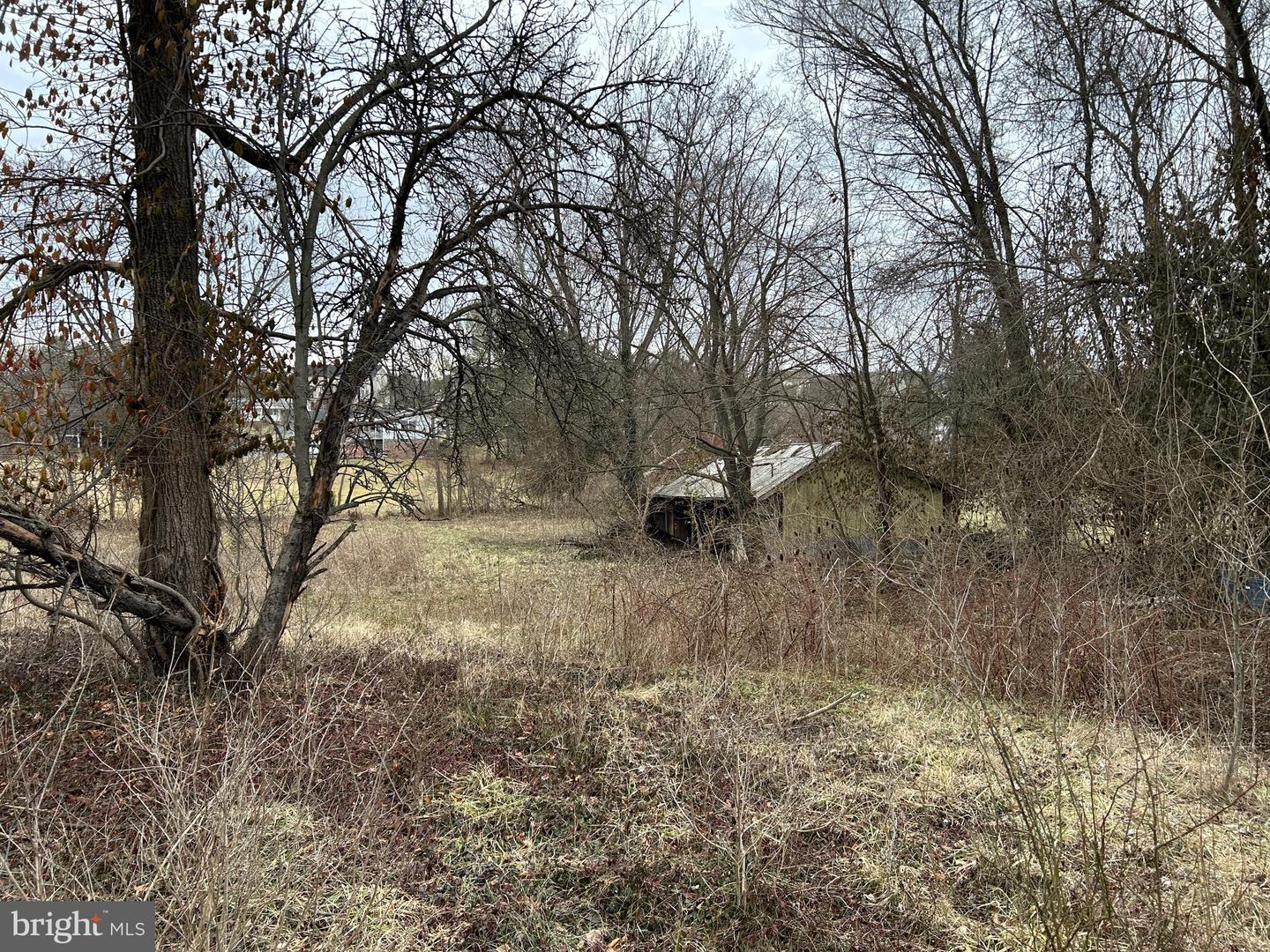 LOT 21 S MAIN, WOODSTOCK, Virginia 22664, ,Land,For sale,LOT 21 S MAIN,VASH2008516 MLS # VASH2008516