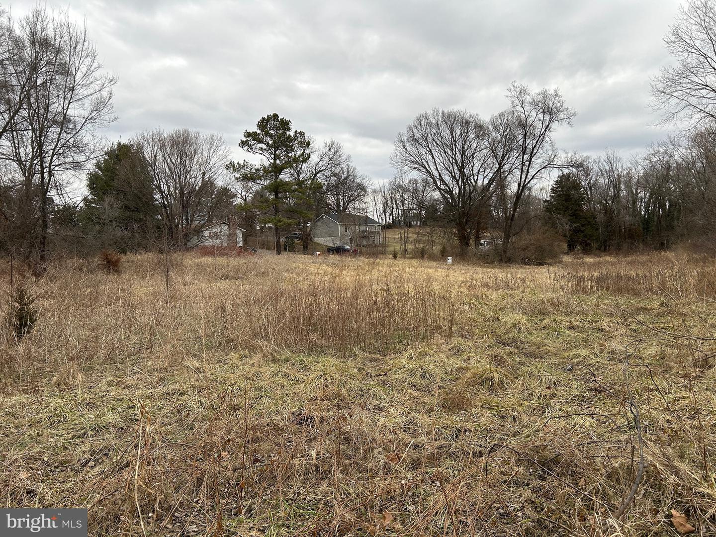 LOT 21 S MAIN, WOODSTOCK, Virginia 22664, ,Land,For sale,LOT 21 S MAIN,VASH2008516 MLS # VASH2008516