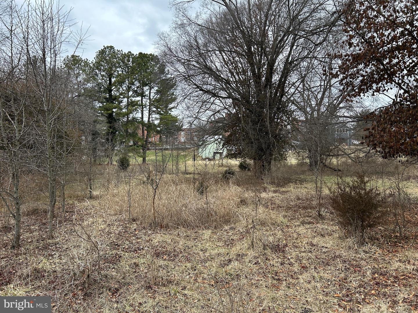 LOT 21 S MAIN, WOODSTOCK, Virginia 22664, ,Land,For sale,LOT 21 S MAIN,VASH2008516 MLS # VASH2008516