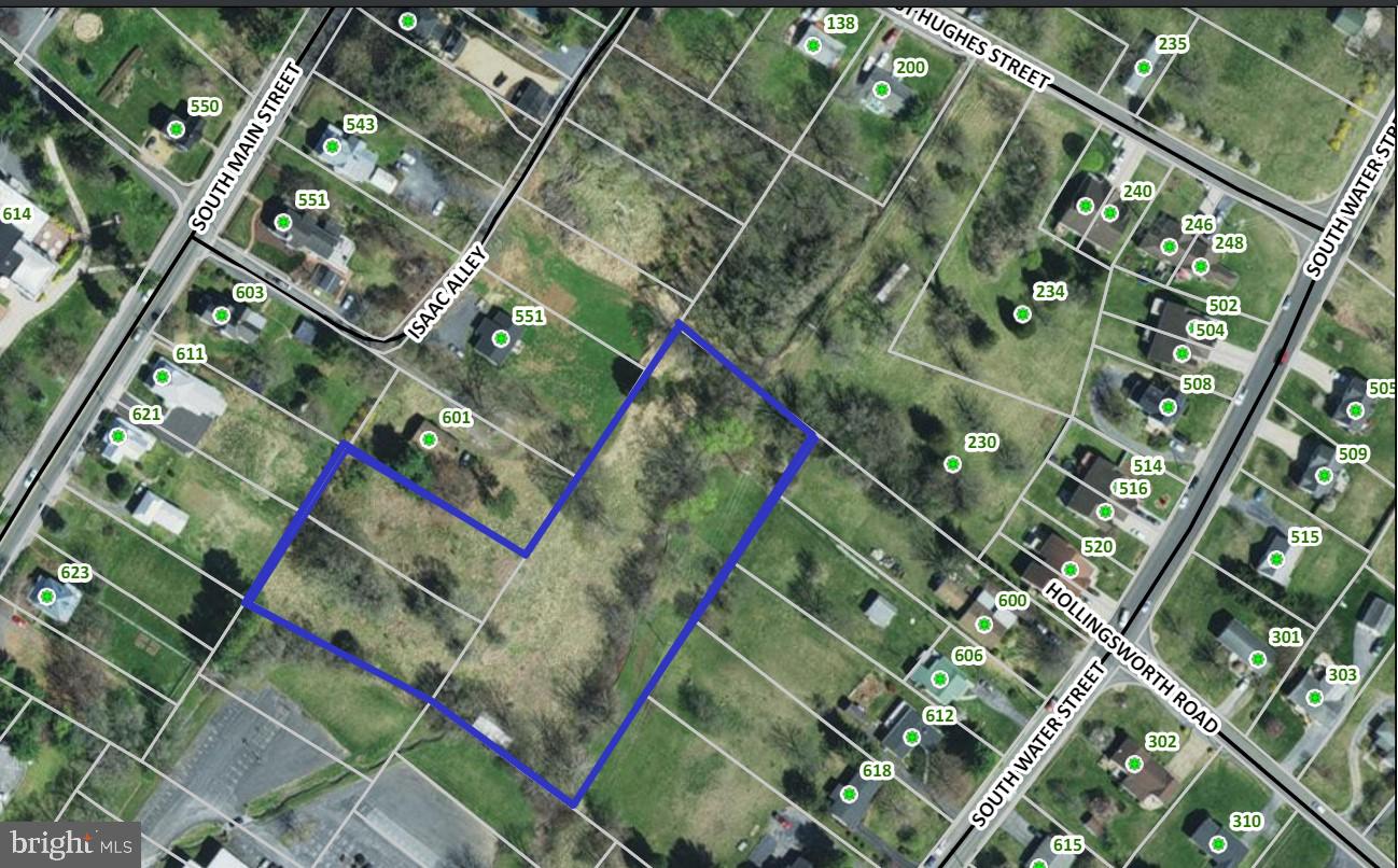 LOT 21 S MAIN, WOODSTOCK, Virginia 22664, ,Land,For sale,LOT 21 S MAIN,VASH2008516 MLS # VASH2008516