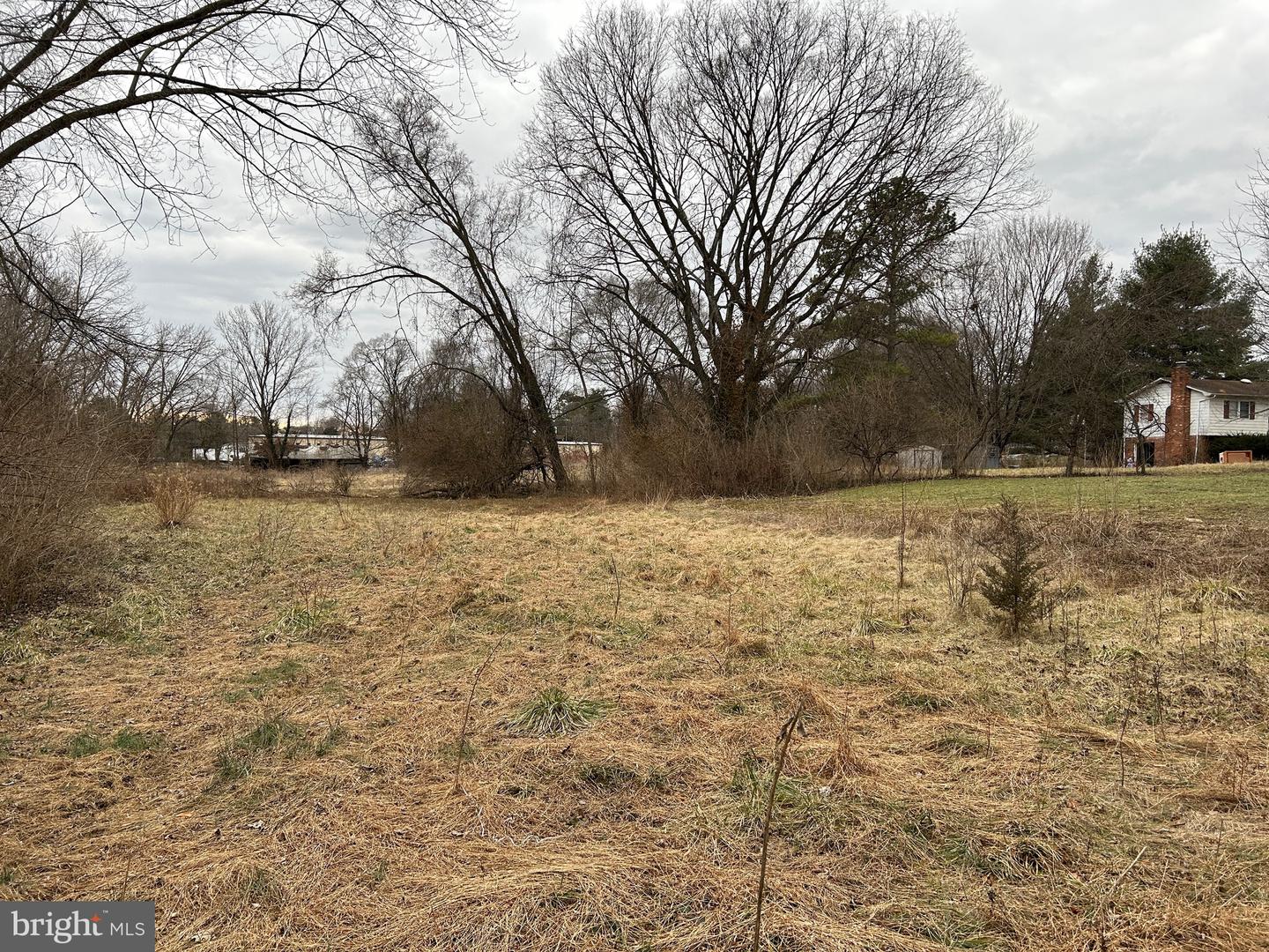 LOT 21 S MAIN, WOODSTOCK, Virginia 22664, ,Land,For sale,LOT 21 S MAIN,VASH2008516 MLS # VASH2008516