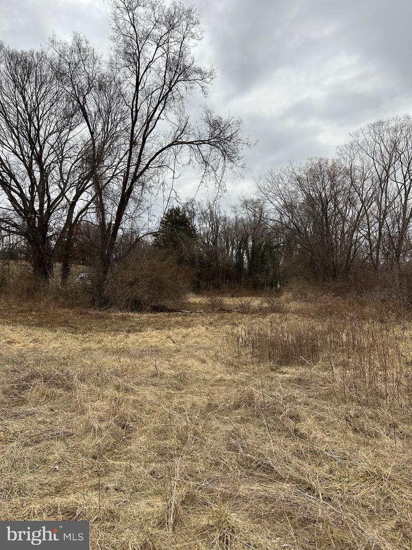 LOT 21 S MAIN, WOODSTOCK, Virginia 22664, ,Land,For sale,LOT 21 S MAIN,VASH2008516 MLS # VASH2008516