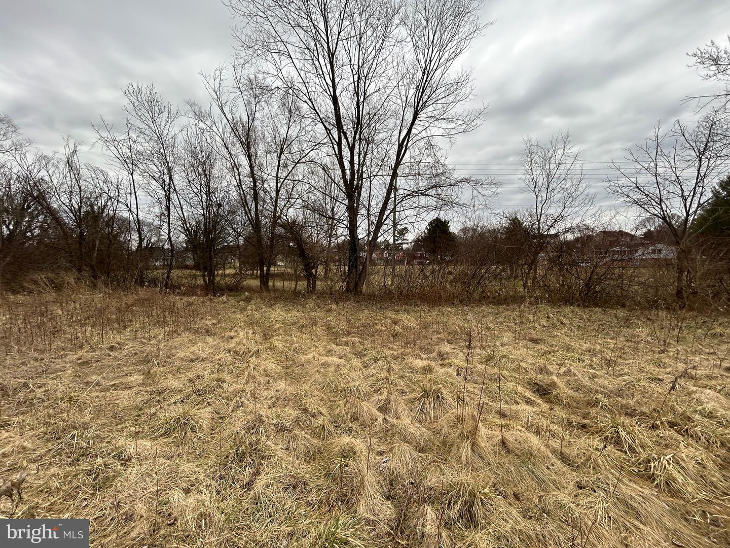 LOT 21 S MAIN, WOODSTOCK, Virginia 22664, ,Land,For sale,LOT 21 S MAIN,VASH2008516 MLS # VASH2008516