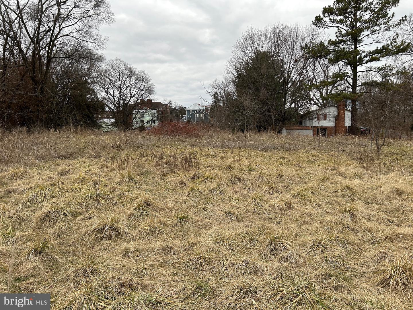 LOT 21 S MAIN, WOODSTOCK, Virginia 22664, ,Land,For sale,LOT 21 S MAIN,VASH2008516 MLS # VASH2008516