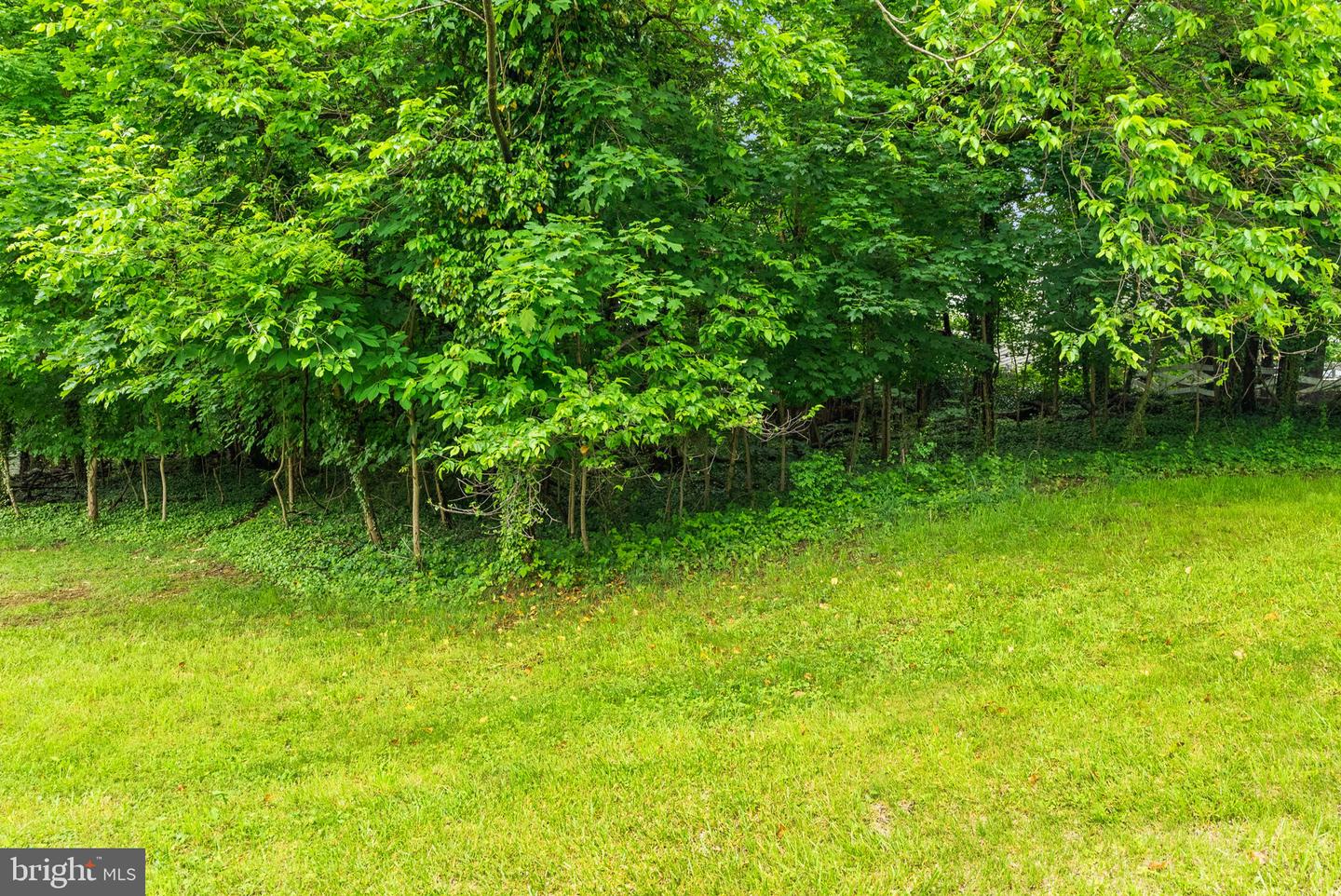 506 FAIRMONT AVE, WINCHESTER, Virginia 22601, ,Land,For sale,506 FAIRMONT AVE,VAWI2007694 MLS # VAWI2007694